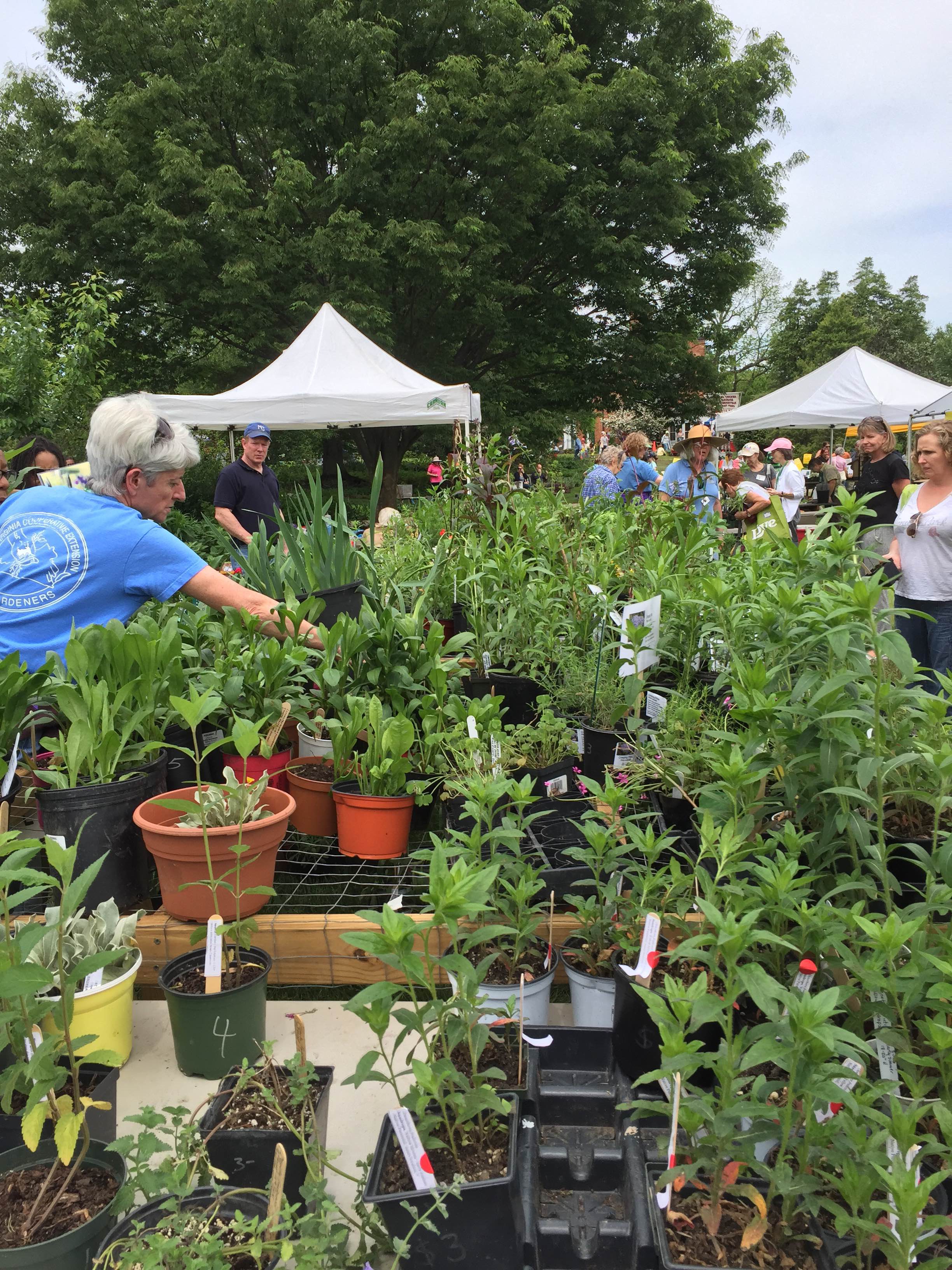 VCE Master Gardener Plant Sale Master Gardeners of