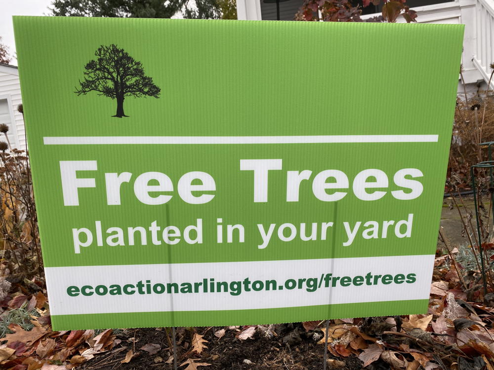 Sign saying free trees