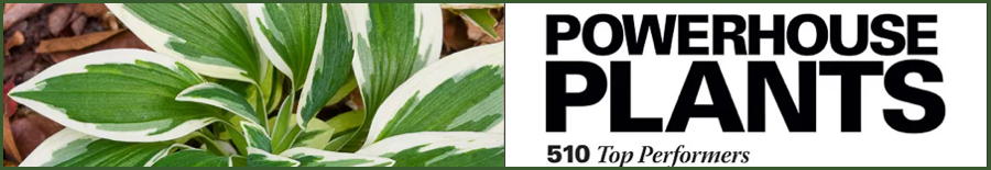 powerhouse-plants-bookshelf